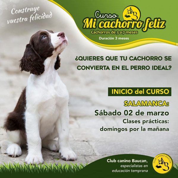 Curso Mi cachorro feliz en Salamanca Curso Mi cachorro feliz en Salamanca