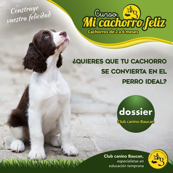 dossier-adiestramiento-cachorros dossier adiestramiento cachorros