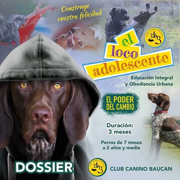 dossier-obediencia-canina dossier obediencia canina