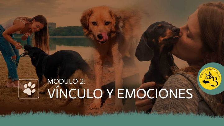 curso-adiestrador-modulo-2 curso-adiestrador-modulo-2