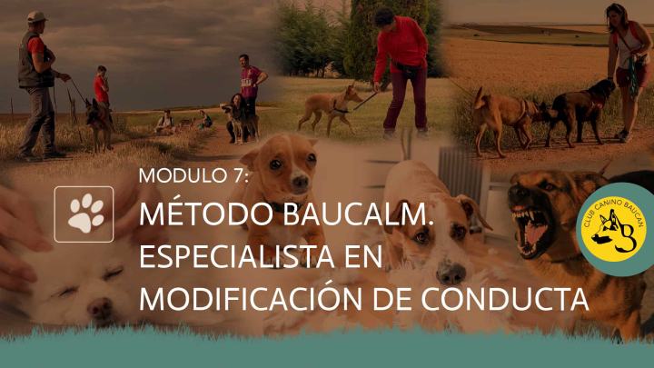 curso-adiestrador-modulo-7 curso-adiestrador-modulo-7