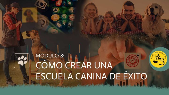 curso-adiestrador-modulo-8 curso-adiestrador-modulo-8