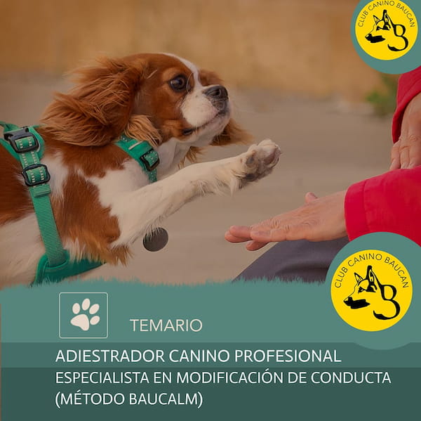 portada del temario curso adiestrador-profesional portada del temario curso adiestrador-profesional