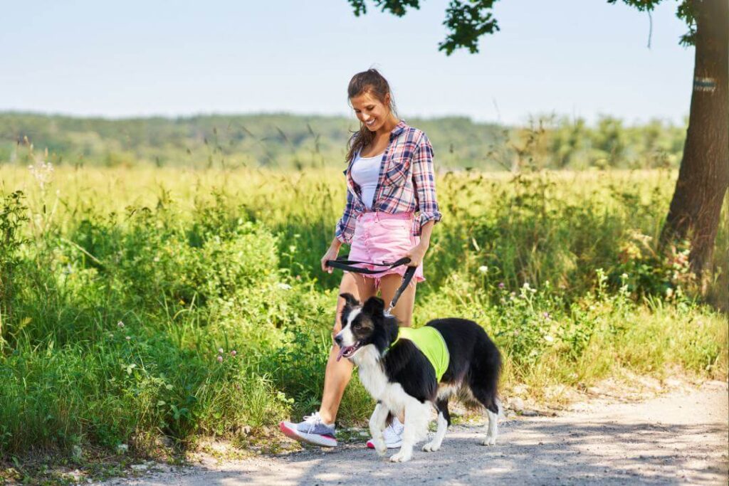 Como Pasear a un Perro Miedoso progresion gradual repetitiva paseo