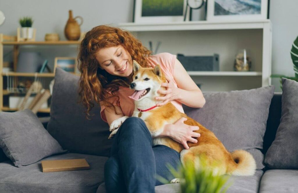 Etapas de desarrollo del perro: desde que nace hasta la edad adulta adolescencia canina